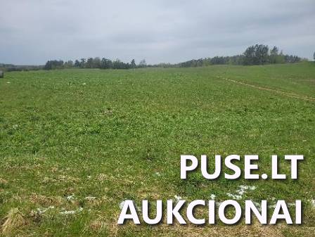 Žemės sklypas Sklypai Kumpuoliai, Antazavės sen., Zarasų r. sav. 3