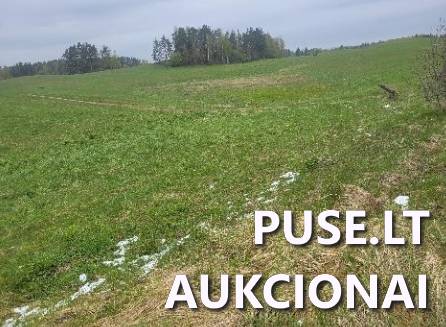 Žemės sklypas Sklypai Kumpuoliai, Antazavės sen., Zarasų r. sav. 4