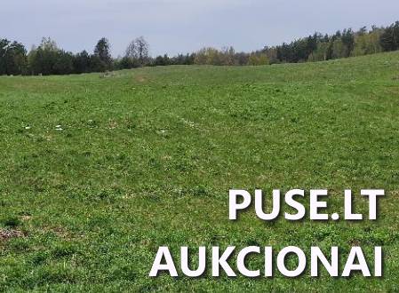 Žemės sklypas Sklypai Kumpuoliai, Antazavės sen., Zarasų r. sav. 5