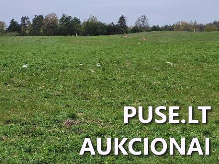 Žemės sklypas Sklypai Kumpuoliai, Antazavės sen., Zarasų r. sav. 6