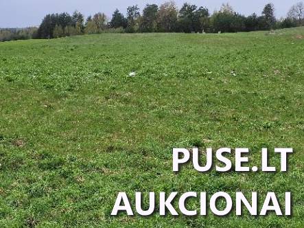 Žemės sklypas Sklypai Kumpuoliai, Antazavės sen., Zarasų r. sav. 7