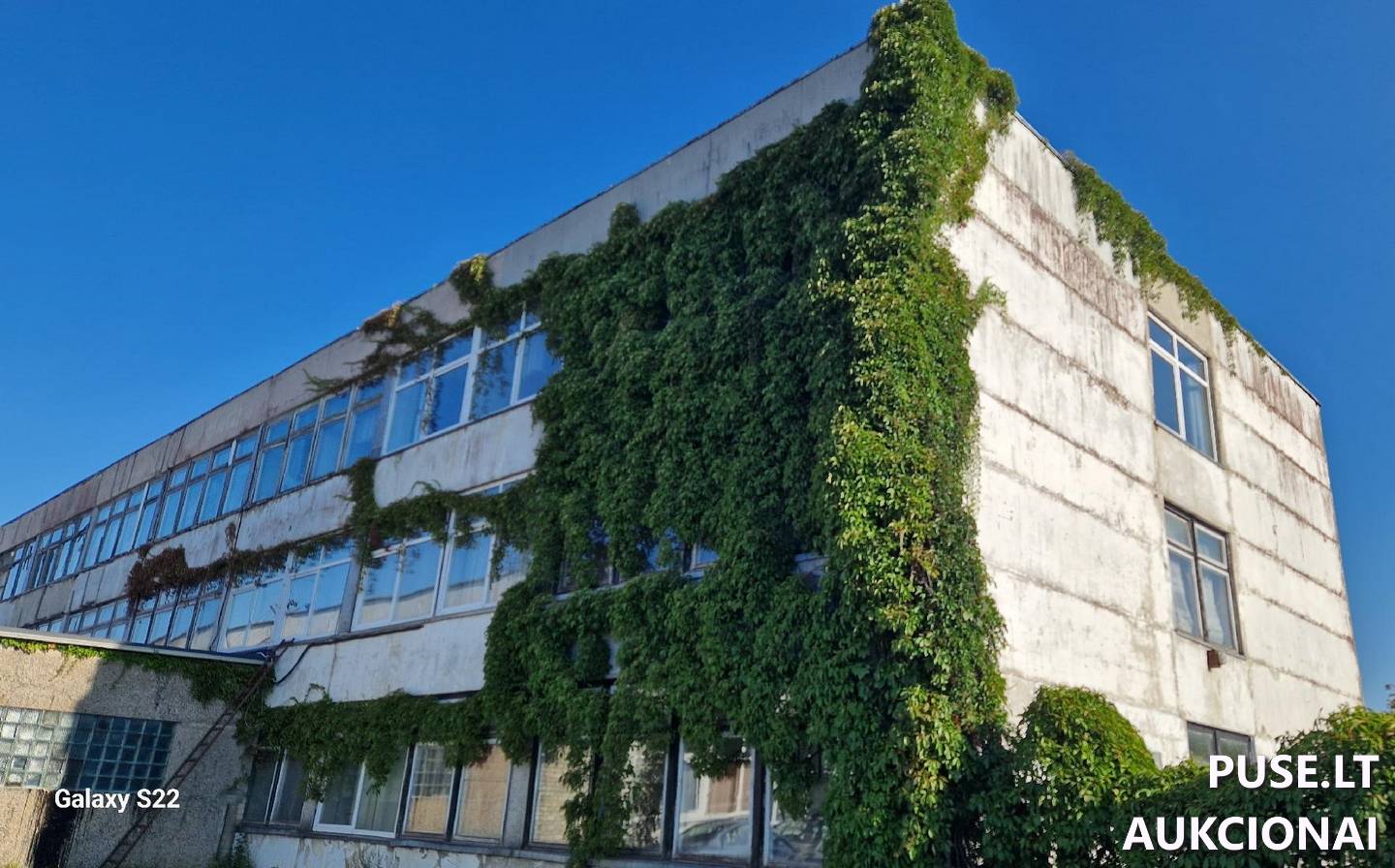 Administracinis pastatas Pastatai Pramonės pr. 13B, 90112 Plungė, Plungės miesto sen., Plungės r. sav. 2