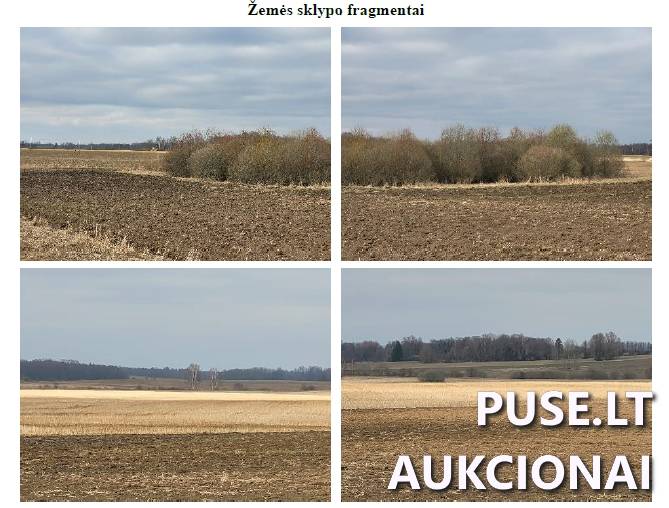 Žemės sklypas Sklypai Kunigiškių g., Kunigiškiai I, Svėdasų sen., Anykščių r. sav. 2