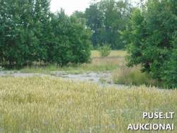 Kiti statiniai - Oro uosto aikštelė