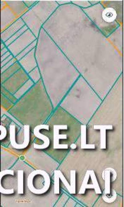 Žemės ūkio paskirties sklypo dalis Radviliškio rajone 4266 EUR pradinė kaina