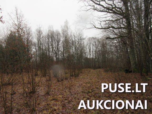 Žemės sklypas Sklypai Jucaičių g., Jucaičiai, Veiviržėnų sen., Klaipėdos r. sav. 2