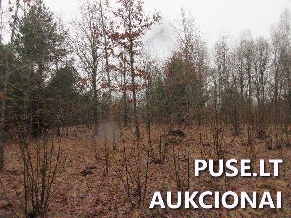 Žemės sklypas Sklypai Jucaičių g., Jucaičiai, Veiviržėnų sen., Klaipėdos r. sav. 4