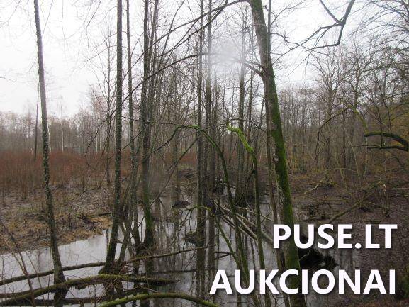 Žemės sklypas Sklypai Jucaičių g., Jucaičiai, Veiviržėnų sen., Klaipėdos r. sav. 10