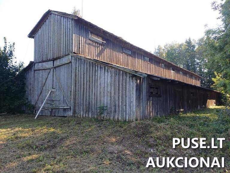Daržinė Pastatai Sodų g. 6, 29153 Naujieji Elmininkai, Anykščių sen., Anykščių r. sav. 10