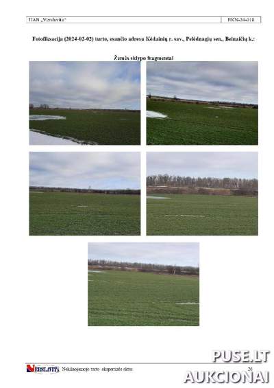 Žemės ūkio paskirties sklypas Kėdainių r. sav., Beinaičių k. už 11280 EUR pradinę kainą