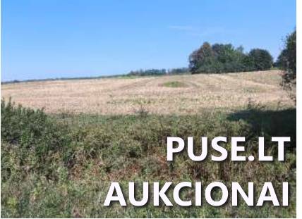Žemės sklypas Sklypai Rudėnai, Gudelių sen., Marijampolės sav. 3