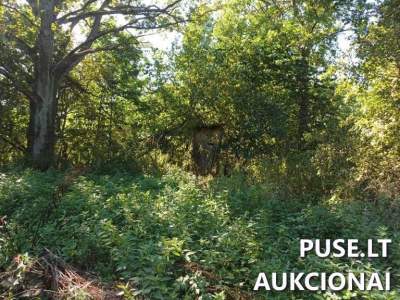 Parduodamas gyvenamasis namas su 0.4000 ha sklypu Anykščių r. Janydžių k., pradinė kaina 12200 EUR
