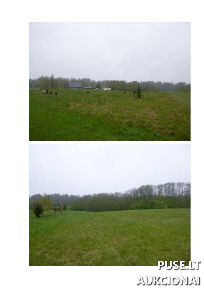Žemės sklypas Sklypai Pievų g. 3, 28104 Piliakalnis, Leliūnų sen., Utenos r. sav. 3