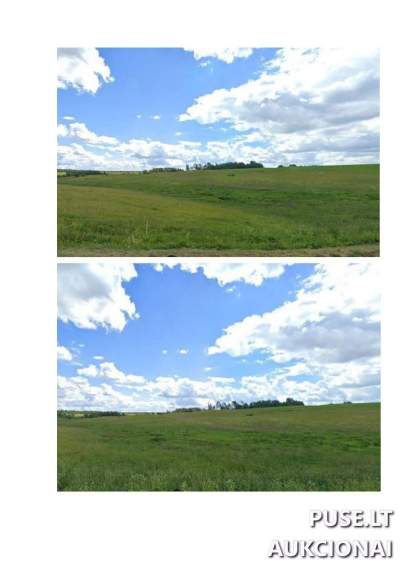 Didelis žemės ūkio paskirties sklypas Zarasų rajone, Padusčio kaime, 61.3 ha, pradinė kaina 176000 EUR