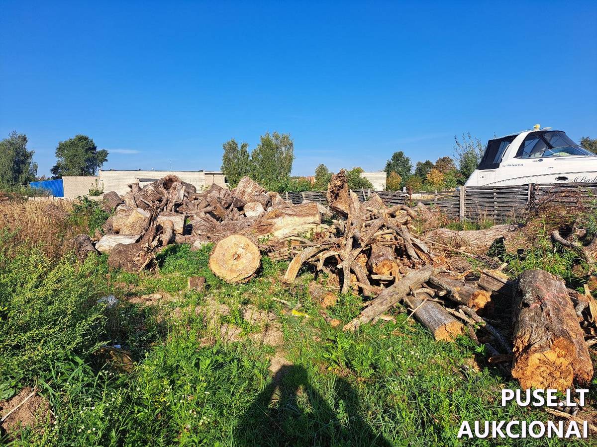 Malkinė mediena Kitas turtas 3