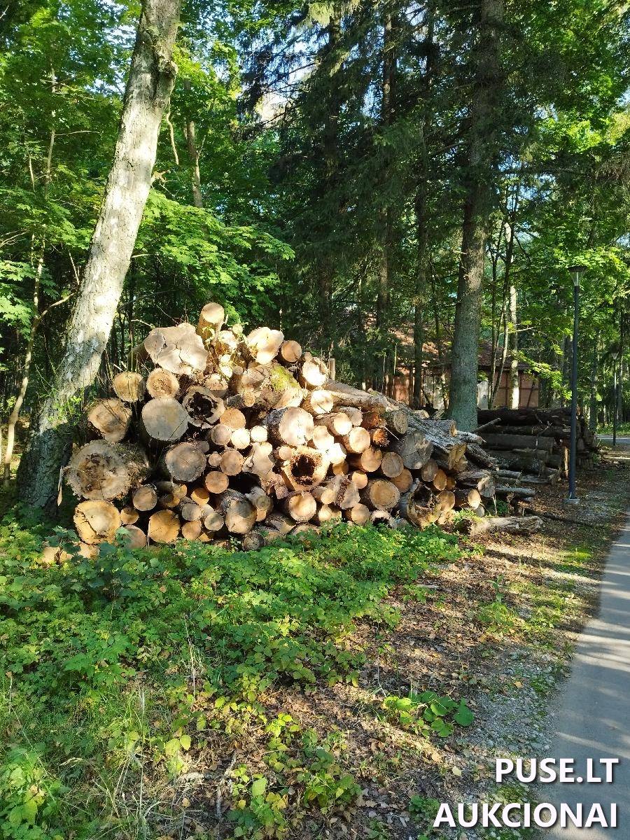 Malkinė mediena Kitas turtas 3