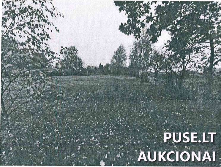 Žemės sklypas Sklypai Ąžuolyno g., Ąžuolynas, Liudvinavo sen., Marijampolės sav. 4