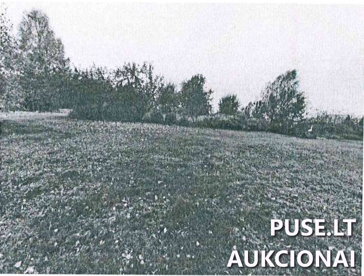 Žemės sklypas Sklypai Ąžuolyno g., Ąžuolynas, Liudvinavo sen., Marijampolės sav. 5