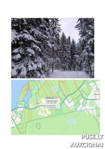 Miško ūkio žemės sklypas Ignalinos r. sav. Garbšių k. 5.05 ha, pradinė kaina 16960 EUR