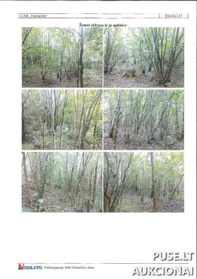 Žemės sklypas Ignalinos r. sav. Nevaišių k. su unikaliu nr. 4554-0004-0020 už 9760 EUR