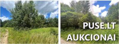 Parduodamas 3 ha žemės ūkio paskirties sklypas Šalčininkų rajone, Pastovų kaime, pradinė kaina 3280 EUR
