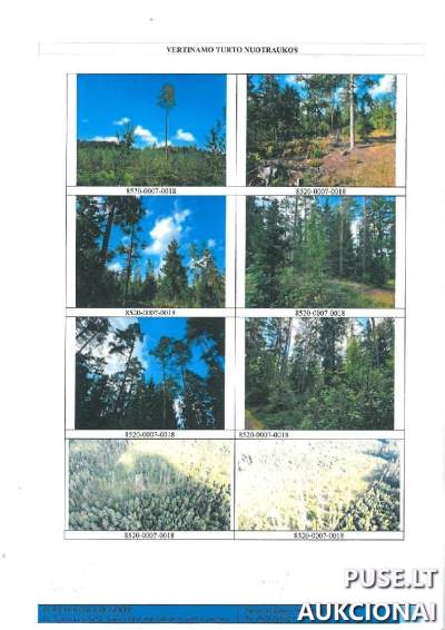 Žemės ūkio sklypo dalis Šalčininkų r. Naujasodžio km. 25920 EUR - 7.5 ha miškas Pirmosios varžytynės