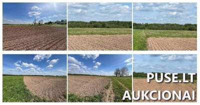 Parduodamas 1.63 ha žemės ūkio sklypas Ukmergės rajone, Krikštėnų kaime, pradinė kaina 3540 EUR
