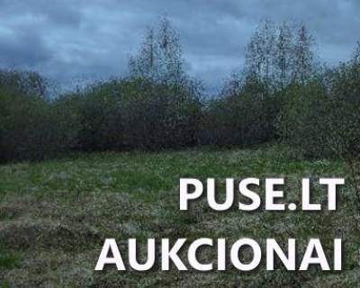 Žemės sklypas Biržų rajone, Pučiakalnės kaime, pradinė kaina 3180 EUR - Antstolių varžytynės