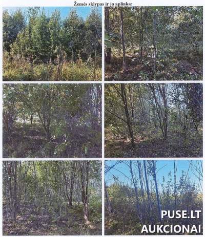 Žemės sklypas Vilniaus r. sav., Liepiškių k., 2/3 dalis, pradinė kaina 5680 EUR
