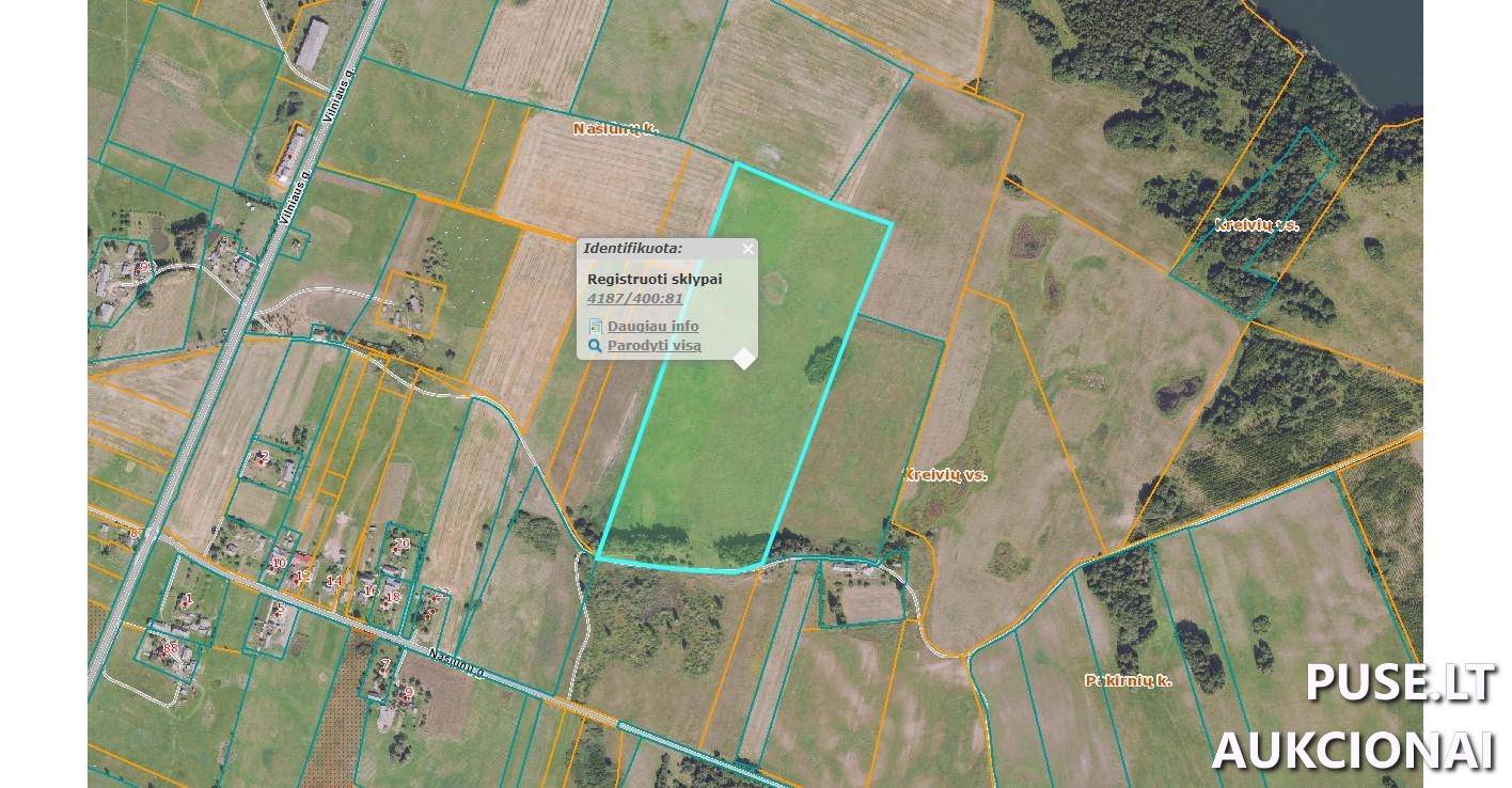 Žemės sklypas Sklypai Vilniaus g., Našiūnai, Sužionių sen., Vilniaus r. sav. 1