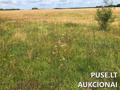 Žemės ūkio paskirties žemės sklypo dalis Vilniaus r. sav., Našiūnų k. nuo 6480 EUR - Antstolių varžytynės