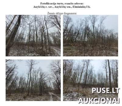 Žemės sklypas Anykščių rajone, Elmininkų I km, 1.03 ha miško, pradinė kaina 4000 EUR