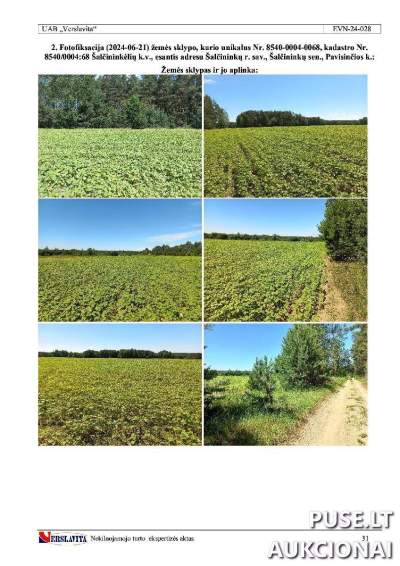 1/3 dalis žemės ūkio paskirties sklypo Šalčininkų r. Pavisčios kaim. 480 EUR - Aukcionas