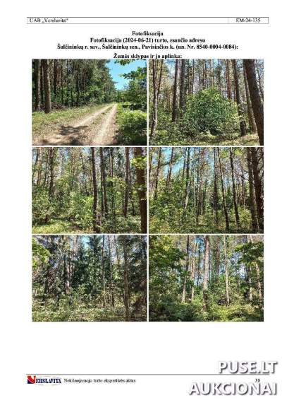 Parduodamas 0.4233 ha miškų ūkio paskirties žemės sklypo 1/3 dalis Šalčininkų r., Pavisinčios k. aukcionas 2616 EUR
