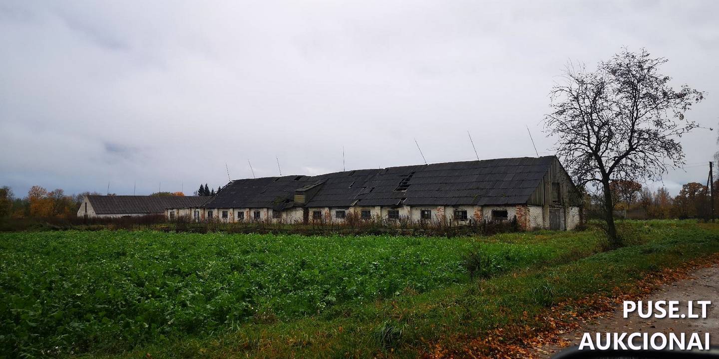 Veršidė Pastatai Aleknai 8, 60355, Viduklės sen., Raseinių r. sav. 7