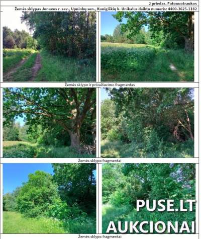 Žemės sklypas Jonavos rajone, Kunigiškių kaime, 1520 EUR pradinė kaina