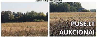 Parduodamas 3.3 ha žemės ūkio paskirties sklypas Ukmergės r. sav., Bagužiškių kaim. - pradinė kaina 12160 EUR