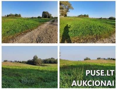 3.1991 ha žemės ūkio paskirties sklypas Ukmergės rajone, Vileikių kaime, pradinė kaina 11760 EUR