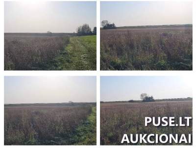 3.01 ha žemės ūkio sklypas Ukmergės rajone, Prūdų kaime, pradinė kaina 11040 EUR