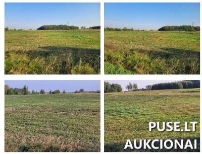 2,68 ha žemės ūkio sklypas Ukmergės r., Kaženiškio k., pradinė kaina 9840 EUR