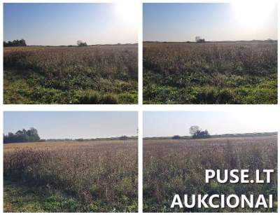 1.25 ha žemės ūkio paskirties sklypas Ukmergės r. Bagužiškių kaime, pradinė kaina 4560 EUR