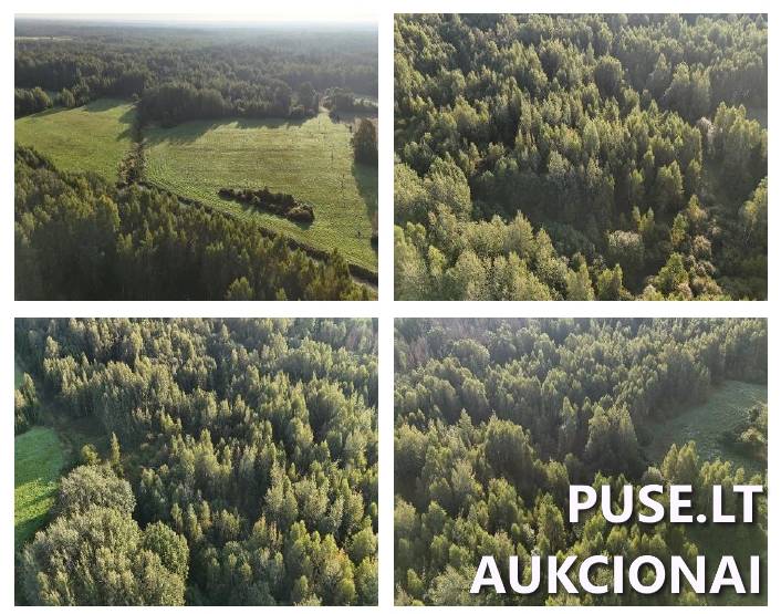 Žemės sklypas Sklypai Liūnai, Pivonijos sen., Ukmergės r. sav. 1