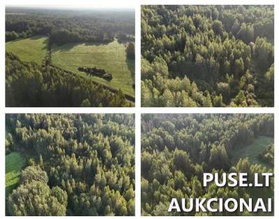 Parduodamas 5.25 ha žemės ūkio paskirties sklypas Ukmergės r. sav., Liūnų k., 13040 EUR kaina