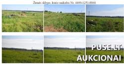 Sklypai - Žemės sklypas