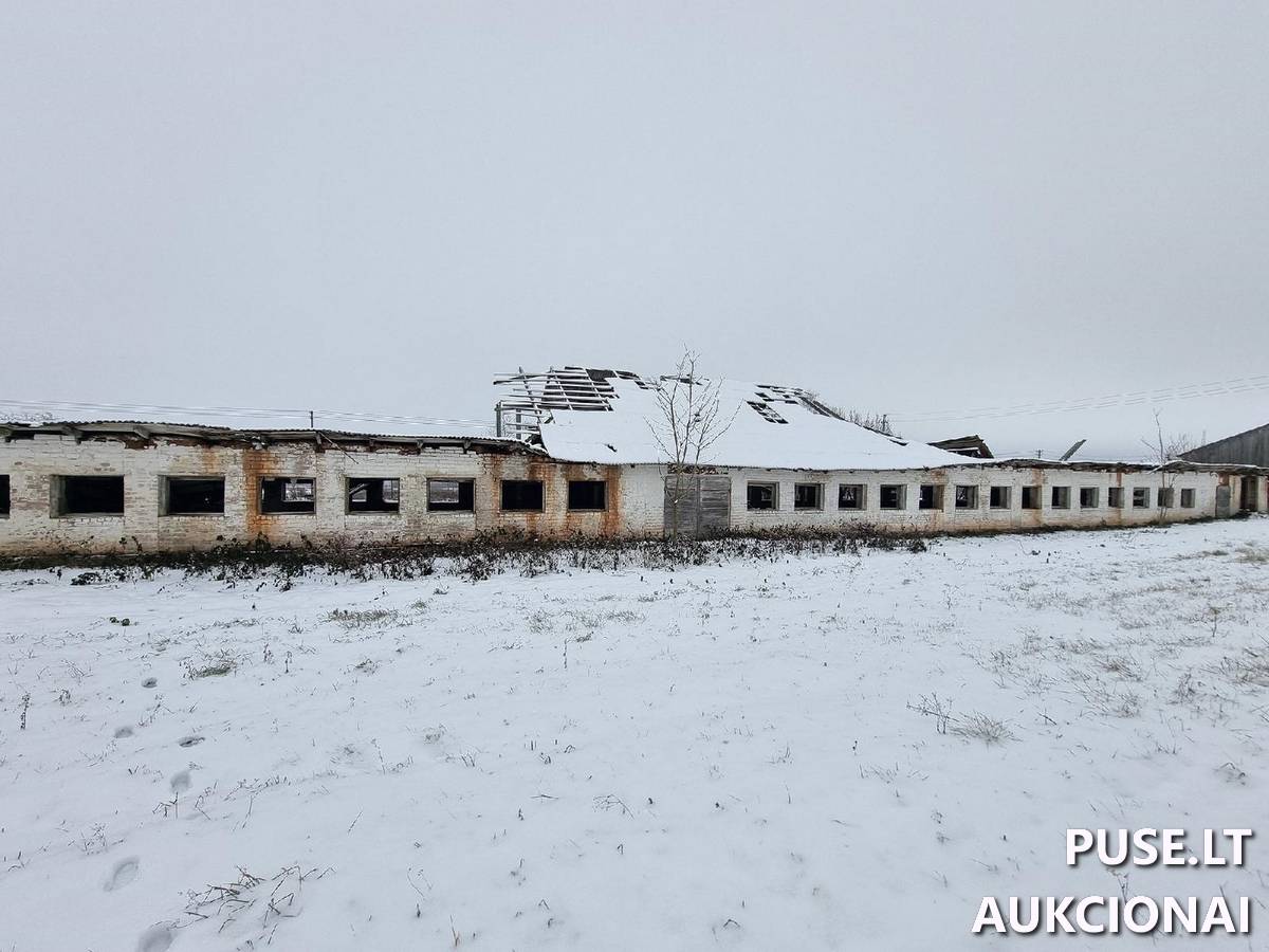 Ferma-veršidė Pastatai Technikos g. 15, 20315 Siesikai, Siesikų sen., Ukmergės r. sav. 9