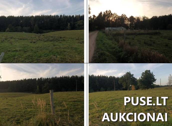 Žemės sklypas Sklypai Šaukėnai, Mažonų sen., Tauragės r. sav. 1