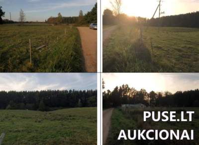 Parduodama 1/5 žemės ūkio paskirties sklypo dalis Tauragės r. sav. Šaukėnų k., pradinė kaina 1504 EUR