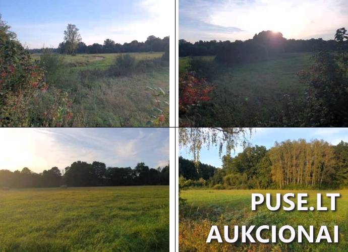 Žemės sklypas Sklypai Šaukėnai, Mažonų sen., Tauragės r. sav. 1