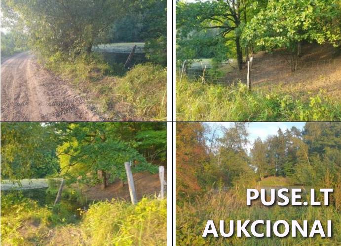 Žemės sklypas Sklypai Šaukėnai, Mažonų sen., Tauragės r. sav. 2