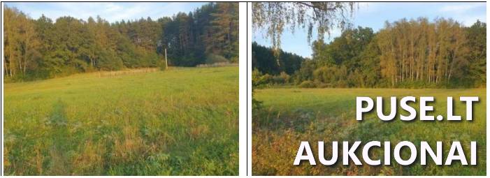 Žemės sklypas Sklypai Šaukėnai, Mažonų sen., Tauragės r. sav. 1